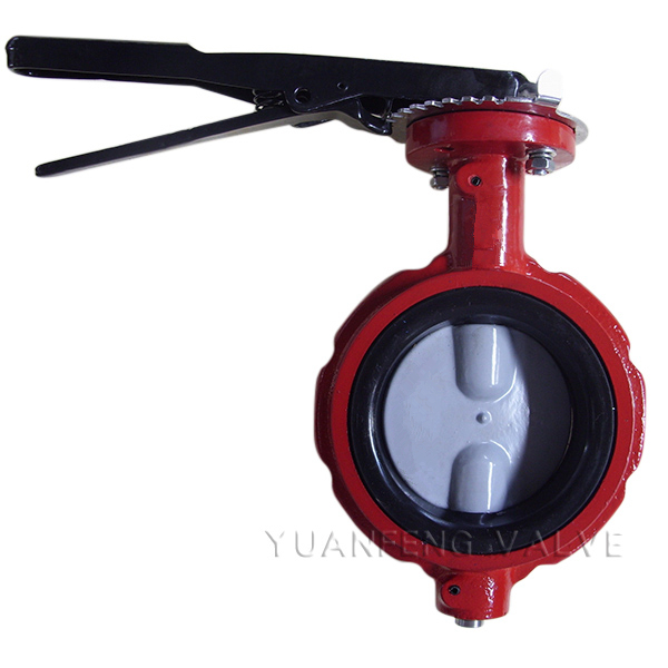 Painted Disc Notched Body Butterfly Valve